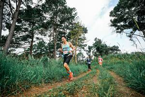 BIB: 
                            <button type="button" onclick="openModal(26033965)" class="btn btn-primary btn-sm float-right btn-popup" data-toggle="modal" data-target=".modal-high-quality">
                        <i class="fas fa-shopping-cart"></i> Add to Cart
                    </button>
                                            <button type="button" onclick="isThisMe(26033965, true)" class="btn btn-success btn-sm float-right btn-popup btn-isme hidden" data-toggle="tooltip" data-placement="bottom" title="นี่คือรูปของคุณใช่ไหม คลิกที่นี่เพื่อเอาเข้าอัลบั้ม">
                        <i class="fas fa-plus"></i> Add to album
                    </button>
                    <button type="button" onclick="isThisMe(26033965, false)" class="btn btn-warning btn-sm float-right btn-popup btn-isnotme hidden">
                        <i class="fas fa-ban"></i> Remove from album
                    </button>